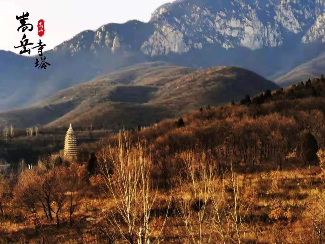 山野1日·11.7（周四）：秋之嵩山|野驴背、法王寺穿越，登顶峻极峰