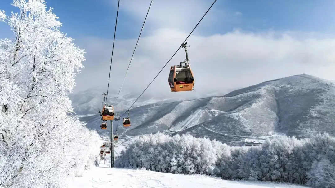 开板特惠｜11.15晚-17日，太舞滑雪场，畅享冰雪激情，释放无限活力